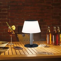 Paulmann  - LED Lampen
 | Solar Deko