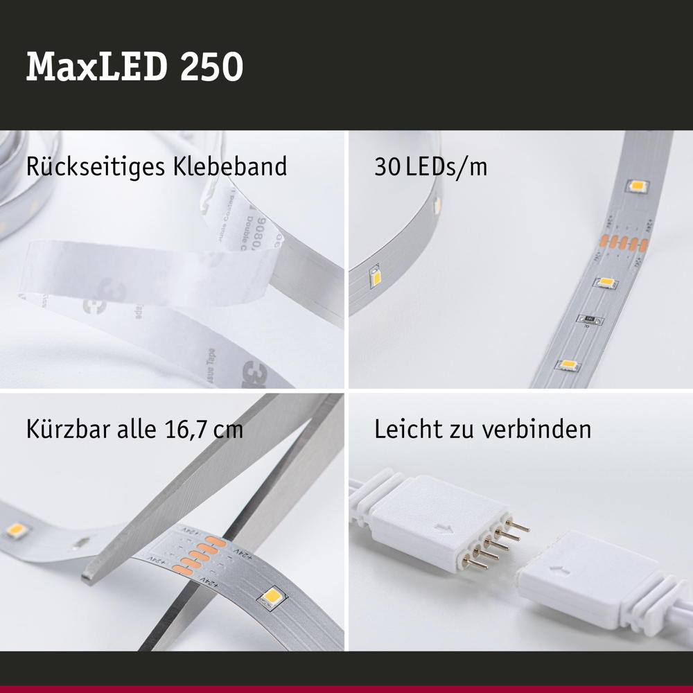LED Strip MaxLED Starterset in Silber 12W 900lm 6500K 3000mm | Paulmann |  79856 | LED-Stripes