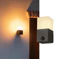 LED Außenwandleuchte Leda aus Edelstahl mit Bewegungsmelder | Lutec |  5267103001