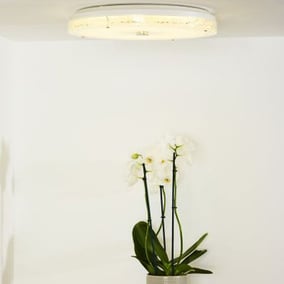 LED Deckenleuchte Vivi in weiß, rund [Gebraucht -...