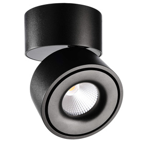 LED Deckenspot Uni II Max in Schwarz 32W 2410lm
